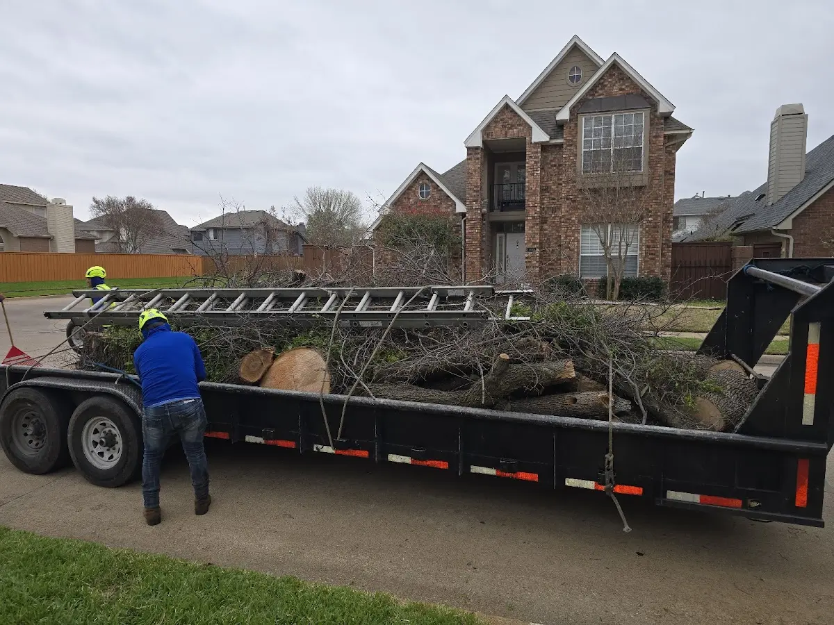 Expert Lot Clearing with proper safety equipment in Marilla